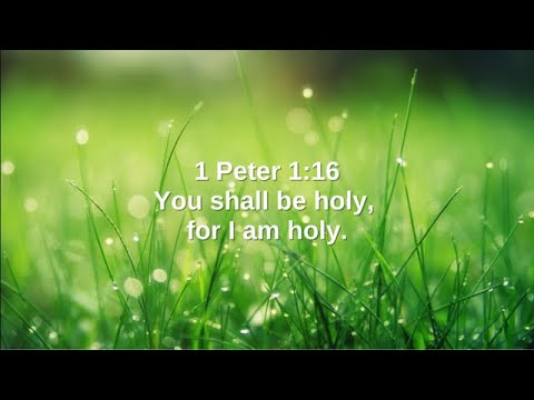 1 Peter 1:16 (Command)