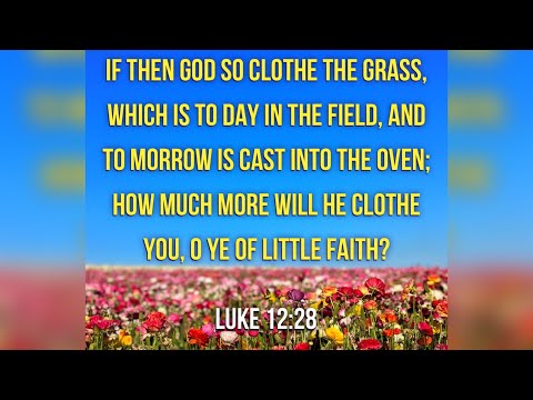 KJV Bible Songs: Consider the lilies (Luke 12:27-28)