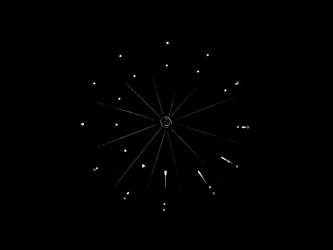 Victims, Perpetrators, and the Goodness of God, Genesis 28:13-30:24 (NIV), Rev. John Haralson