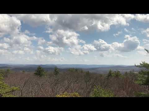 The Scattered Children... John 11:49-52, Genesis 11:8