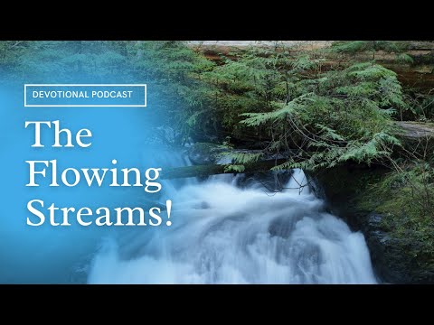 Your Daily Devotional | The Flowing Streams | Isaiah 44:3