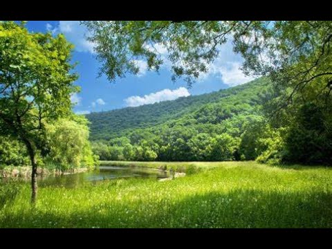 Scripture Verse By Verse (6) Gospel of Matthew 18:15-20