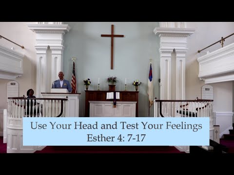 Use Your Head and Test Your Feelings (Esther 4: 7-17)