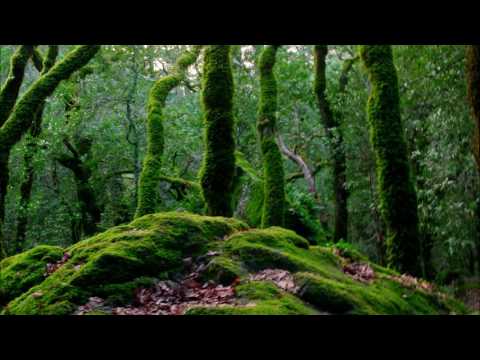 9/25/16 - Fear and Deliverance - Psalm 34:4