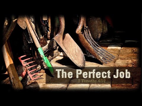 1 Timothy 6:1-2 | The Perfect Job