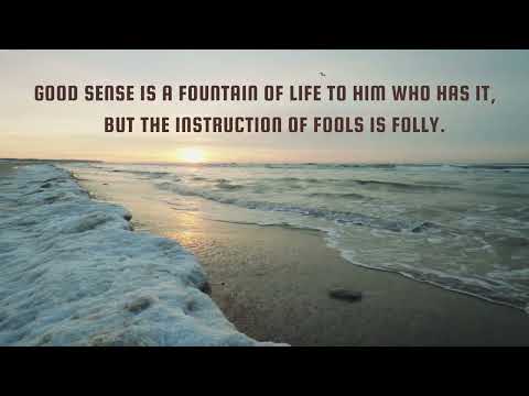 Proverbs 16:20-24 A Gentle Word Carries Great Weight l Daily motivation