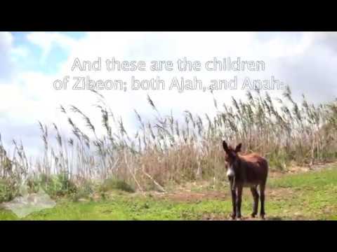 Genesis 36:24 - And these are the children of Zibeon; both Ajah, and Anah - Bible Verses