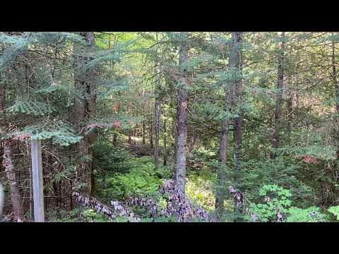 Revelation 7:8 - John Gill's Exposition of the Entire Bible Verse by Verse