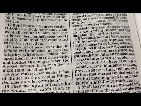Habakkuk 1:13 and prophets doubting