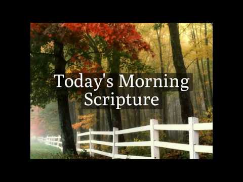 Psalm 119:169, Morning