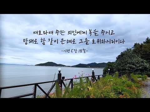 시편 5장12절 (Psalm 5:12)