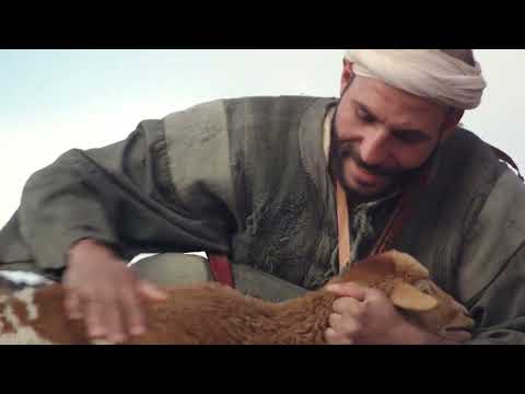 Daily Gospel Reading Video - St. Luke 15:3-7 (English)