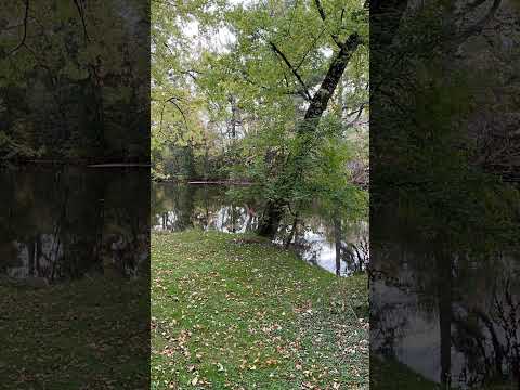 376.  Coffee Break (Express) Normal and natural.