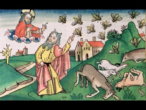 Exodus 8:20 - 9:12 - The plagues 4) of flies, 5) on Livestock & 6) of Boils