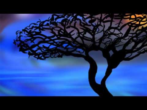 Luke 21:25-36 Commentary by Dr. Tom Boomershine