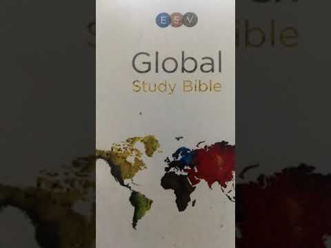 Title: Your action will determine who you are (Text: Acts 11:22-24)