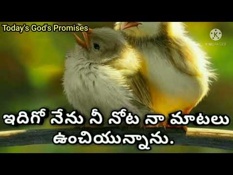 Today's God's Promises in telugu|Today's God's Promises in telugu|Jeremiah 1:9