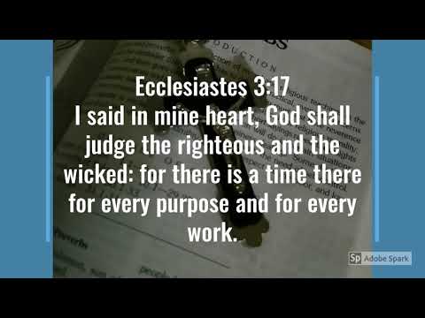 Bible Verse Ecclesiastes 3:16-20