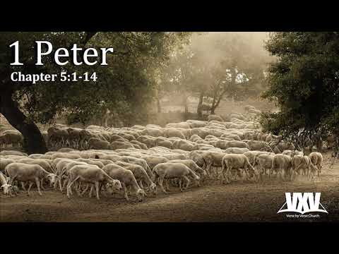 Verse by Verse - 1 Peter 5:1-14