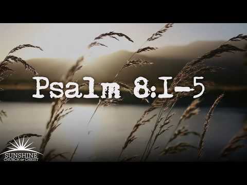 Deeply Rooted - Psalm 8:1-5