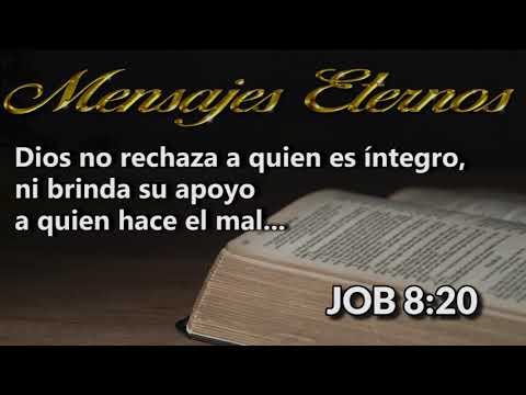 Job 8:20