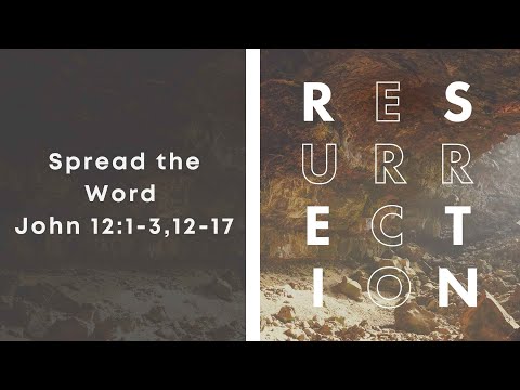 Spread the Word // John 12:1-3, 12-17
