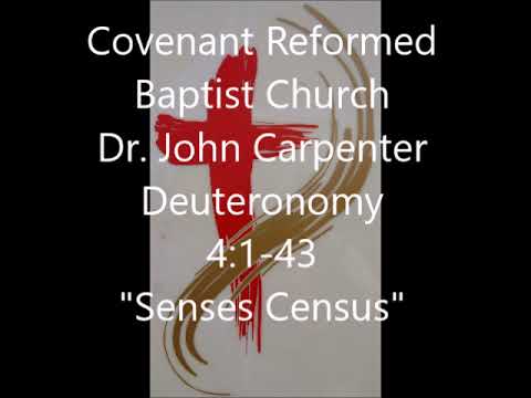 Deuteronomy 4:1-43, The Senses Census