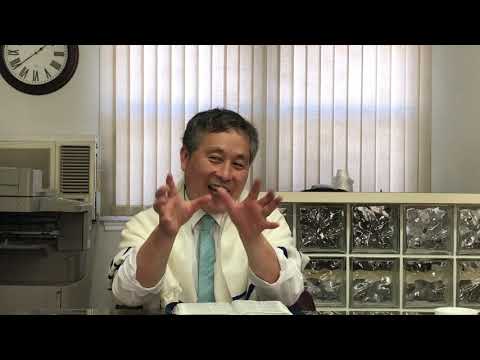 Blessed Community NY John 12:1-50 향유. 당나귀. 밀알