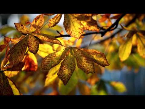 12-20-15 - The Great Divide- Matthew 2:1-12, 16