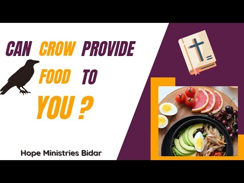 Crow will feed Humans | 1 Kings 17:4 | Today's Message (1-11-2022) | Sis. Sarah ‎@Hope Ministries