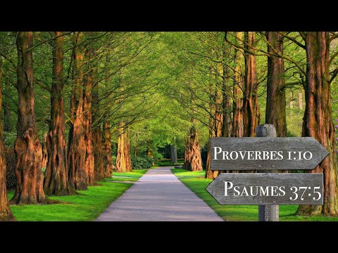 Morning prayer requests/devotions! Scripture of the day: 2 Kings 1:9-15 Wearing Our Courage! ????????