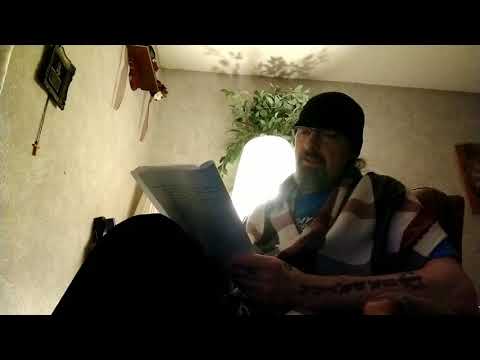 Isaiah 41:10. Proverbs 25:27-28. Meet Stewie the Cat!