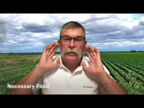 What is the chaff to the wheat?  Jeremiah 23:25-32