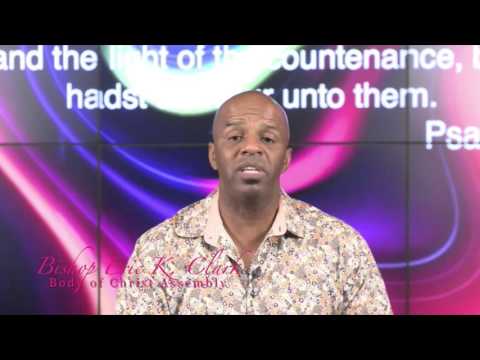 MEGA BITES - FAVOR - Psalms 44:3