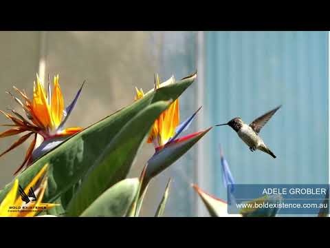 Bible Bites - Micah 6:8