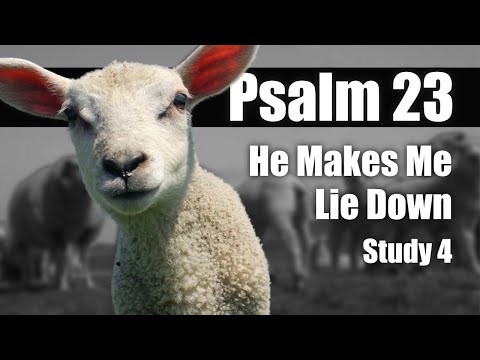 04 Psalm 23:2 He makes me lie down
