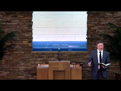 Dear 2020 | Numbers 14:5-9