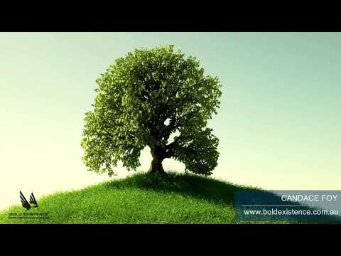 Bible Bites - Luke 17:5-6