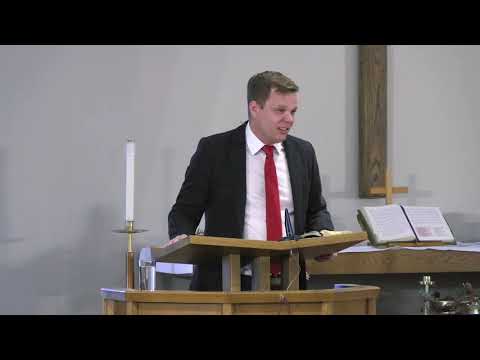 The Ox and the Donkey (Luke 2:1-7)