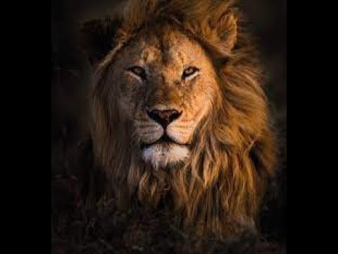 Who is Like God- Scripture from the Lord- Isaiah 46:5-10