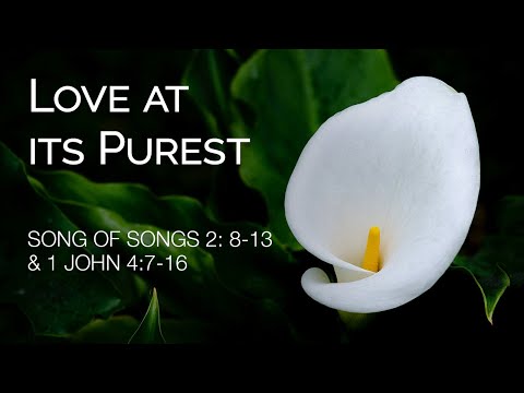 Love at its Purest (Song of Songs 2: 8-13 and 1 John 4:7-16)
