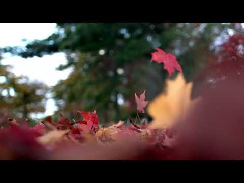 D A Y  8 // John 13:13-15