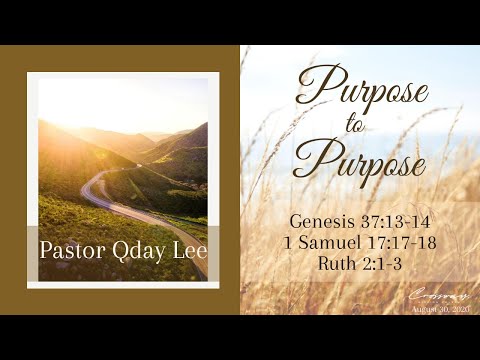 Purpose to Purpose (Gen. 37:13-14; 1 Sam. 17:17-18; Ruth 2:1-3) - August 30, 2020