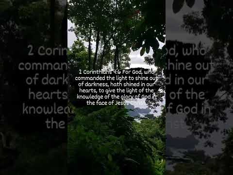 Psalm 90:8 Thou hast set our iniquities before thee, our secret sins in the light of thy countenance