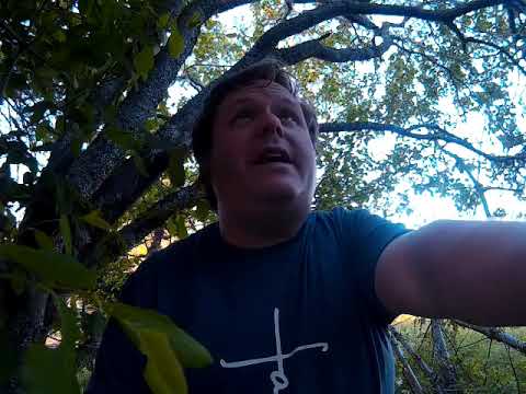 Morning Prayer & Devotion - James 4:14-15 - June 10th 2020