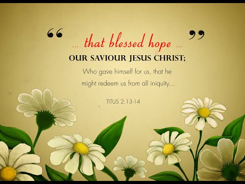 Out of the Iron Furnace - Deuteronomy 4:11-24