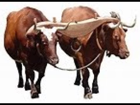 February 6, 2020   The Journey Before Us'   2 Corinthians 6:3-5