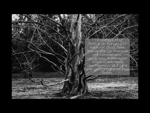 Part 2 of 2, 1 Timothy 6:9-12, But as for you, O man of God, flee these things.