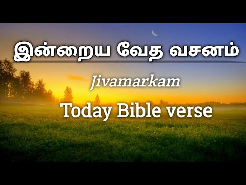 Bible Verse:Psalms 119:92