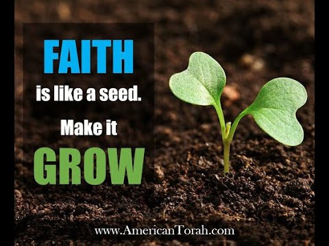 GROWING to your POTENTIAL!  Matthew 13: 31-35